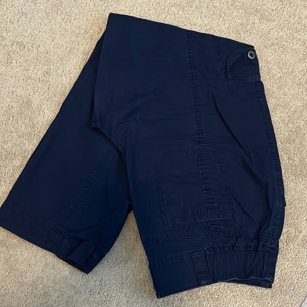Chicos Blue Pants 244
